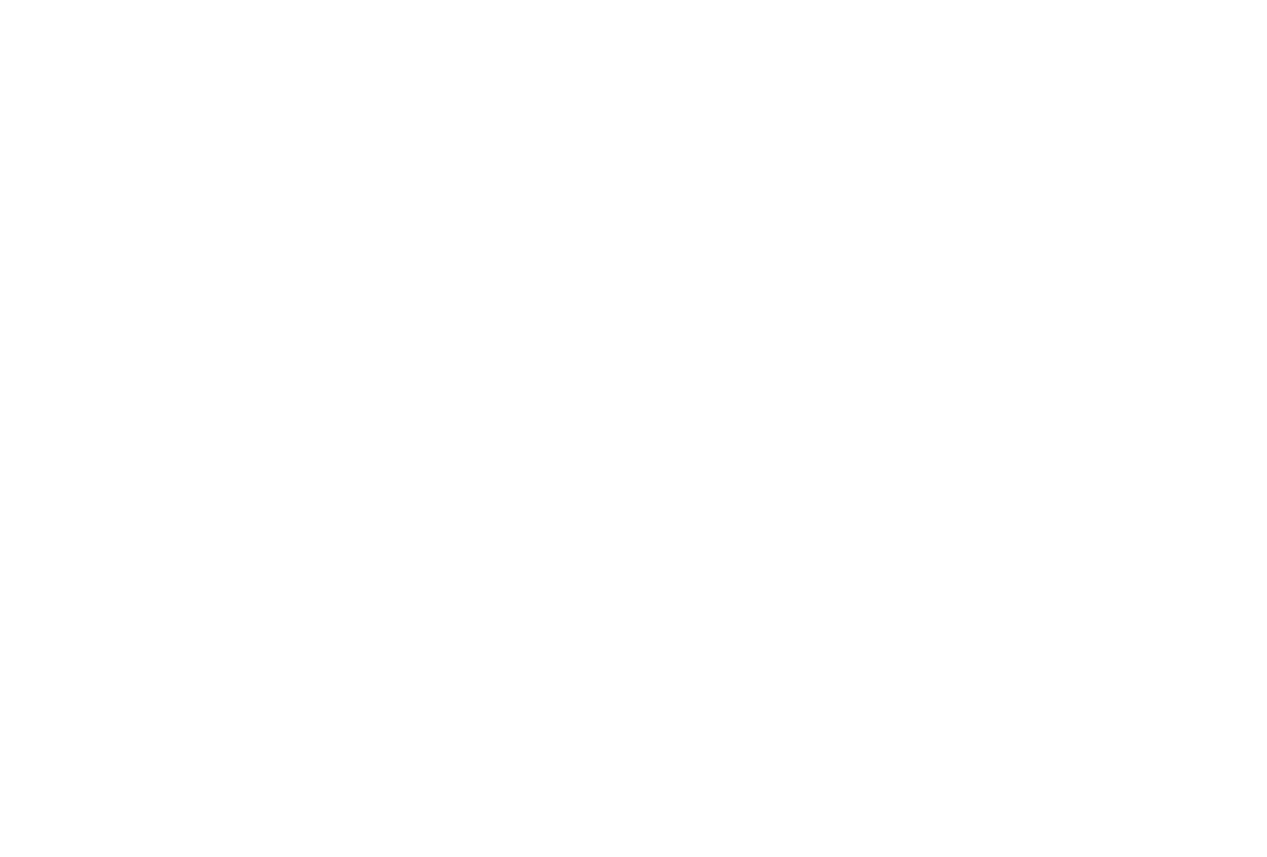 fluidra logo